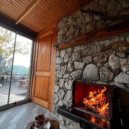 Villa House *