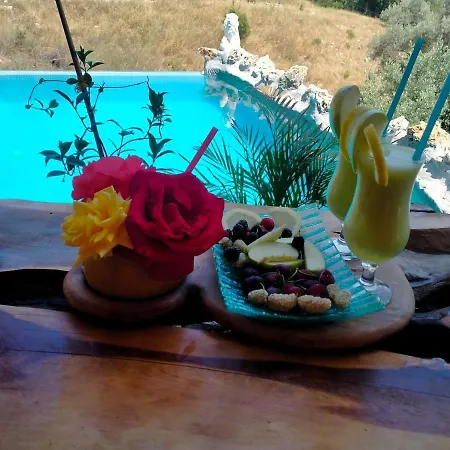 Villa House