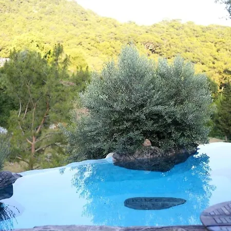 House * Kumluca